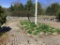 FIELD STONE WALL AND PAVERS