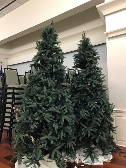 CHRISTMAS TREES