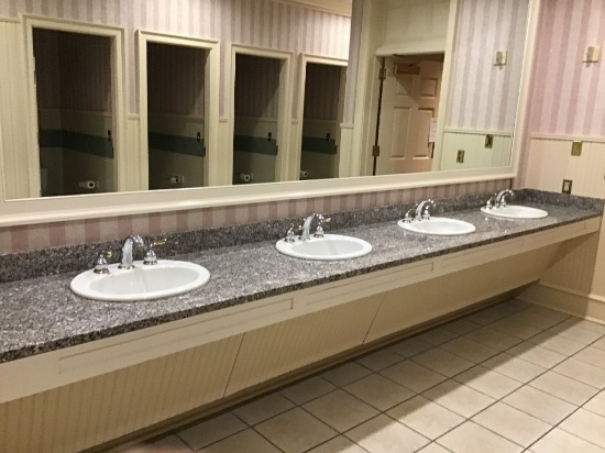 GRANITE BATHROOM SINK COUNTER
