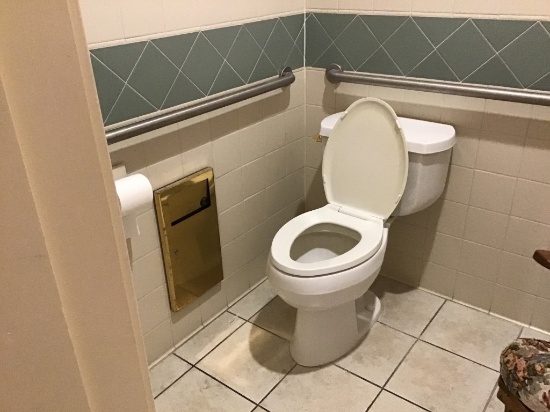 HANDICAPPED ACCESSIBLE TOILETS