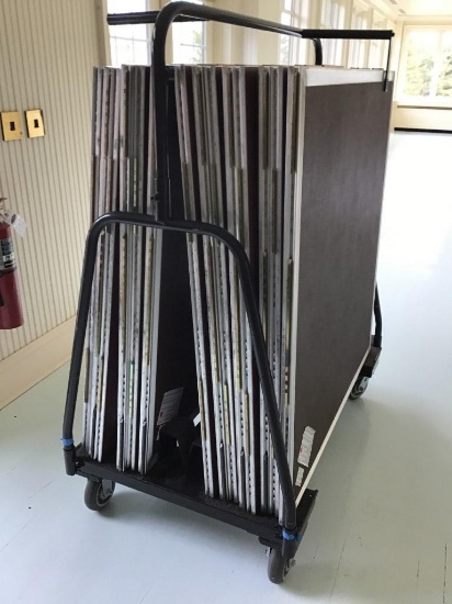 PORTABLE DANCE FLOOR