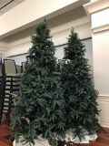 CHRISTMAS TREES