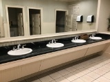 MARBLE BATHROOM SINK COUNTER