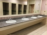GRANITE BATHROOM SINK COUNTER
