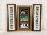 Framed Duck Stamps