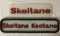 Two Skeltane Gas Pump Ad Glass