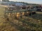 JD  RG630 Row Cultivator