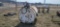 500 Gal Fuel Tanks W/ 110 Volt Pump
