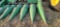 JD 643 Cornhead