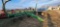 JD 7000 6 Rw Planter