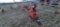 Farm King 10x70  Swing away auger