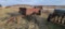 Oliver Manure Spreader