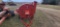IH 56 Forage Blower