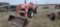 JM 354LE 2005 Tractor