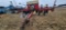 IH 800 6 Rw Planter