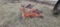 AC 2 Btm Plow