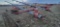 Peck 8x56 Swing away Auger