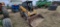 Cat 242 Skid Loader