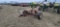 Sickle Mower