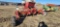 IH Cyclone Planter