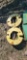 JD 165 wgts