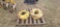 JD rear wghts