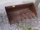 SS BUCKET 5'
