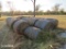 18 - ROLLS OF COW HAY NOT HORSE QUALITY