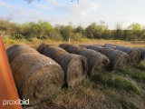 18 - ROLLS OF COW HAY NOT HORSE QUALITY