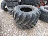 48 X 31.00 X 20 TIRE