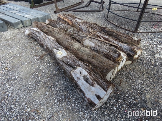 CEDAR POSTS