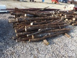 CEDAR POSTS