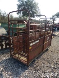 PAUL CATTLE SCALE