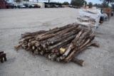 CEDAR POSTS