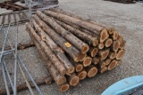 30 - CEDAR POSTS