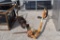 POSTHOLE DIGGER