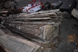 8' PINE BOARDS