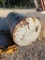 300 GALLON FUEL TANK