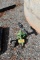 HYDRAULIC SPRAY PUMP