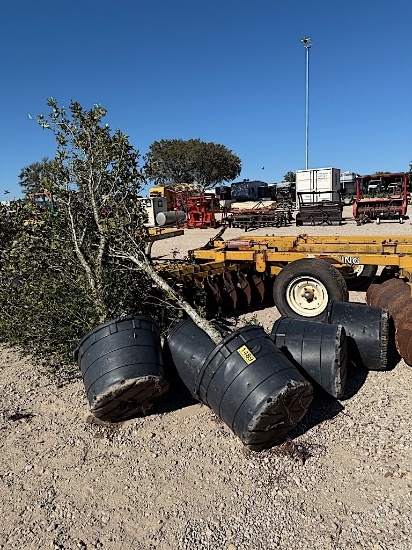 5 - 30 GALLON LIVE OAK TREES