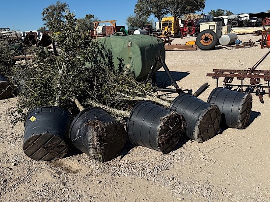 5 - 30 GALLON LIVE OAK TREES