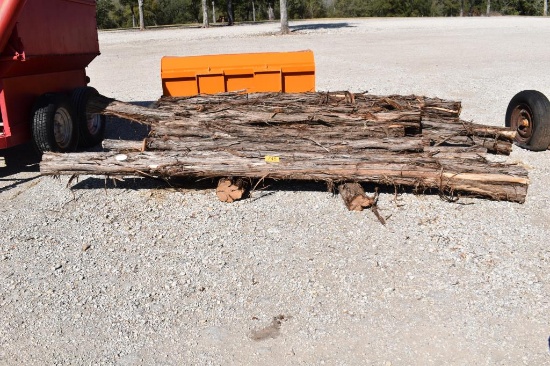 CEDAR POSTS