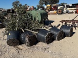 5 - 30 GALLON LIVE OAK TREES
