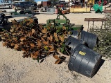 4 - 30 GALLON MAGNOLIA TREES