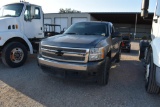 2009 CHEVROLET 1/2 TON PICKUP (SALVAGE TITLE) (VIN # 1GCEC14X69Z131646) (SHOWING APPX 175,014 MILES,