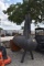 BBQ PIT