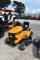CUB CADET XT1 RIDING MOWER (SERIAL # 1E225H3010H) (SHOWING APPX 12 HOURS, UP TO THE BUYER TO DO THEI