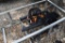 SKID STEER POSTHOLE DIGGER W/ 12