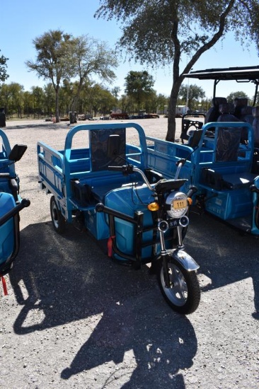 SDLANCH IRET13 ELECTRIC CART (SERIAL # H9RZYF3TXSA119100) (NON-TITLED)  (K)