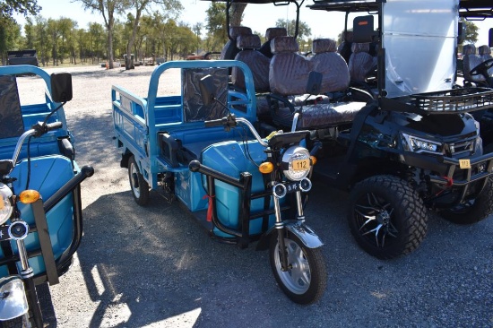 SDLANCH IRET13 ELECTRIC CART (SERIAL # H9RZYF3TXSA119101)  (NON-TITLED)  (K)